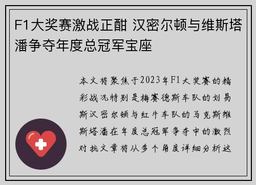 F1大奖赛激战正酣 汉密尔顿与维斯塔潘争夺年度总冠军宝座