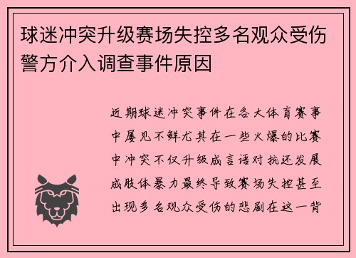 球迷冲突升级赛场失控多名观众受伤警方介入调查事件原因