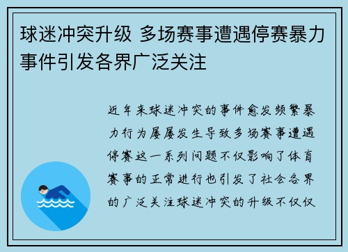 球迷冲突升级 多场赛事遭遇停赛暴力事件引发各界广泛关注